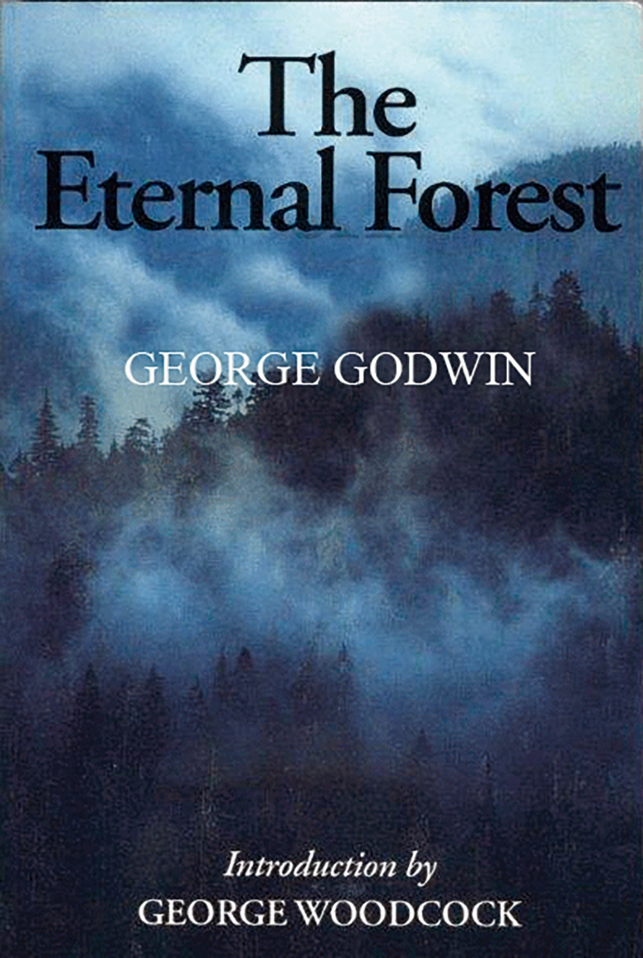 eternal-forest-large